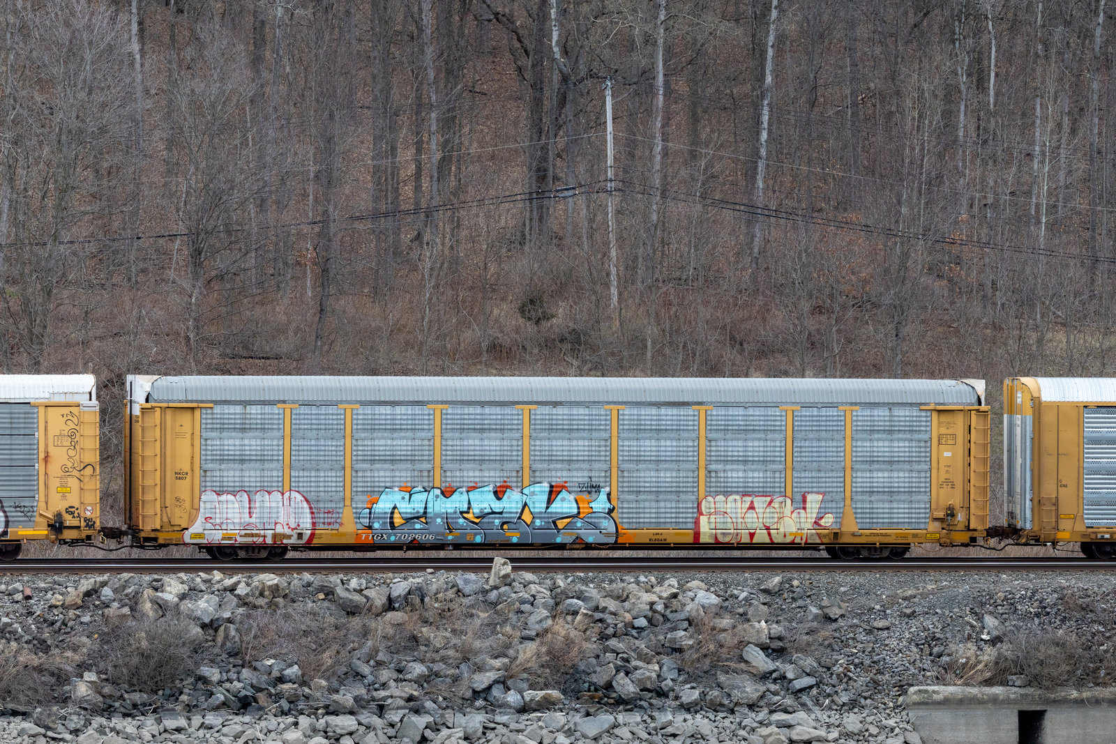 TTGX 702606