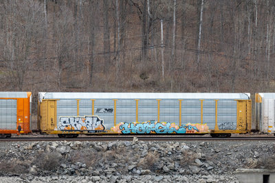 TTGX 711178