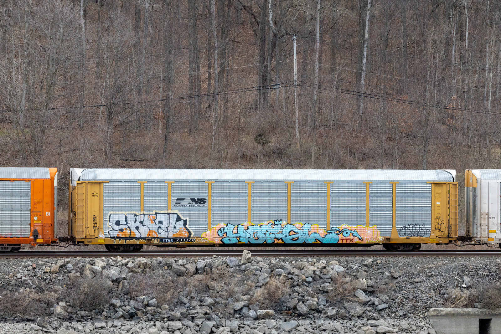 TTGX 711178