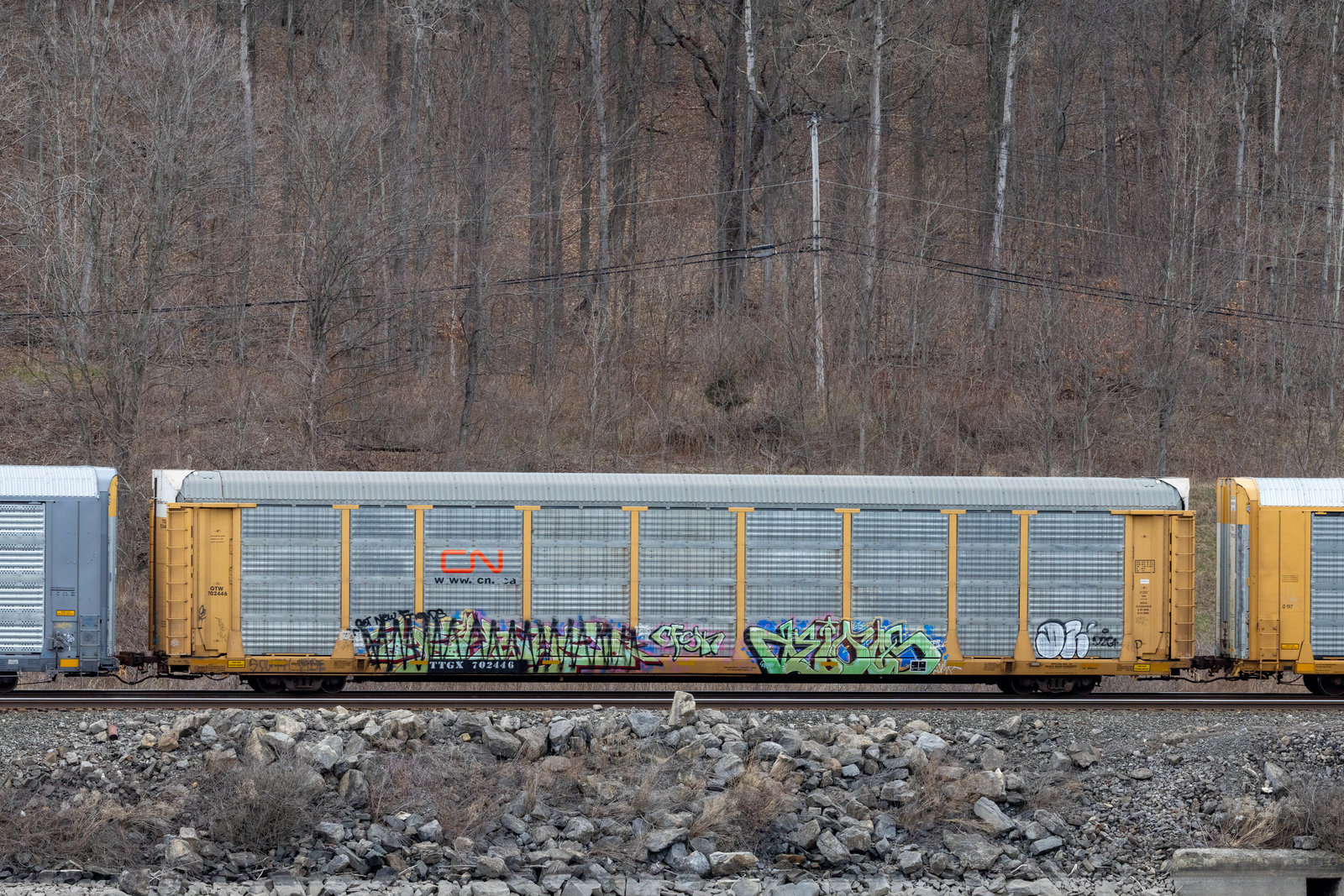 TTGX 702446