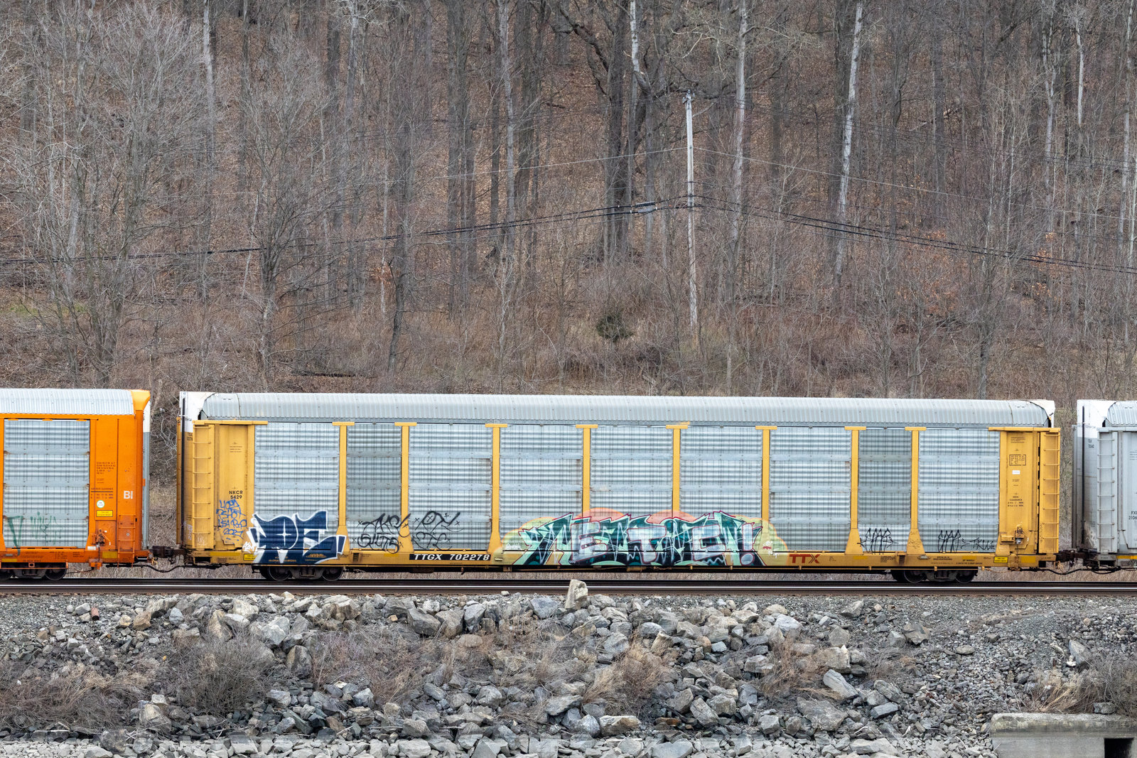 TTGX 702278