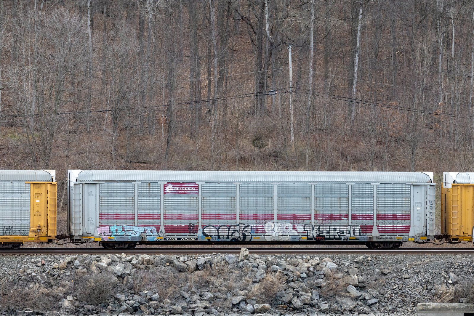 TTGX 705560