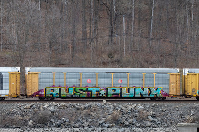 TTGX 981816