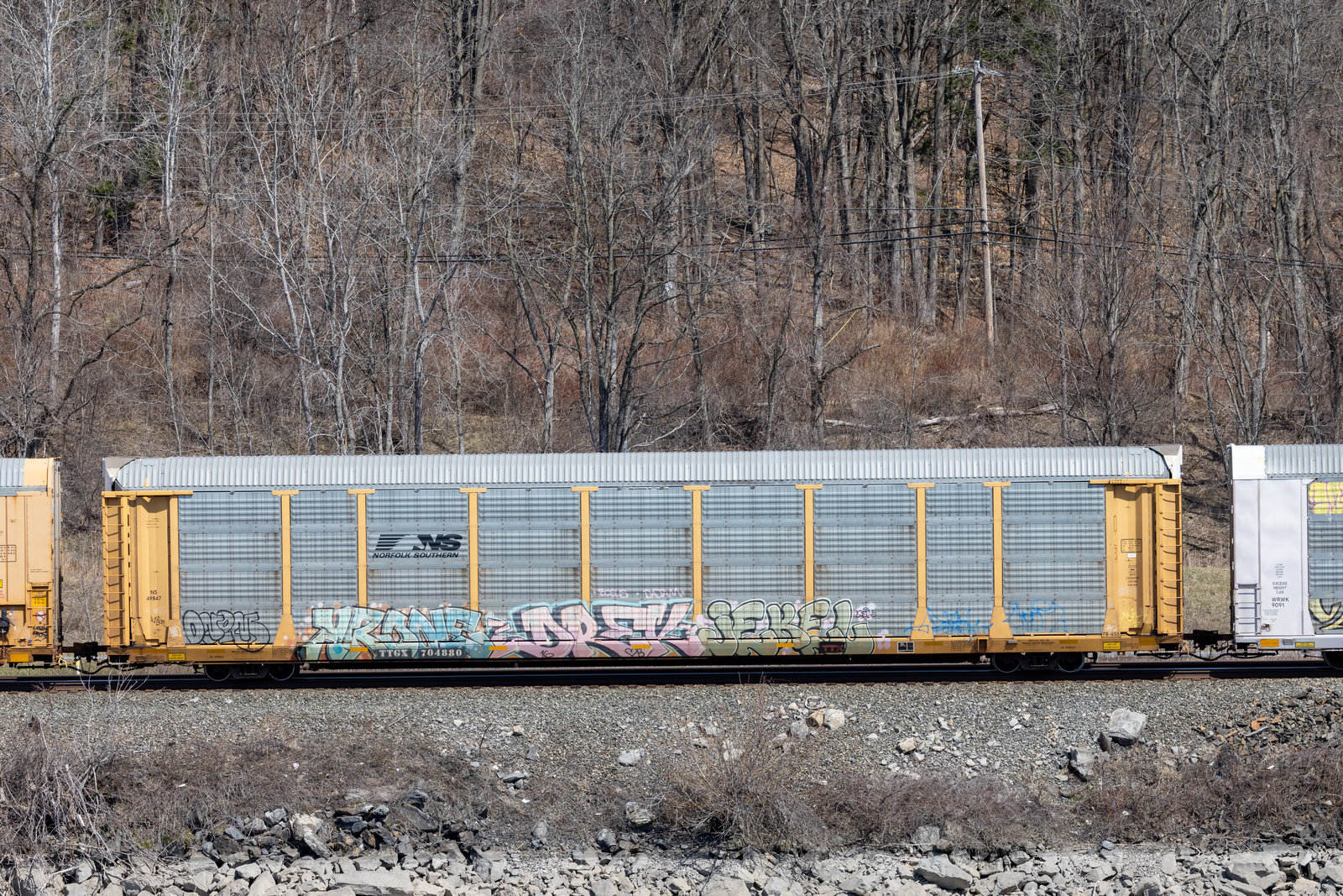 TTGX 704880