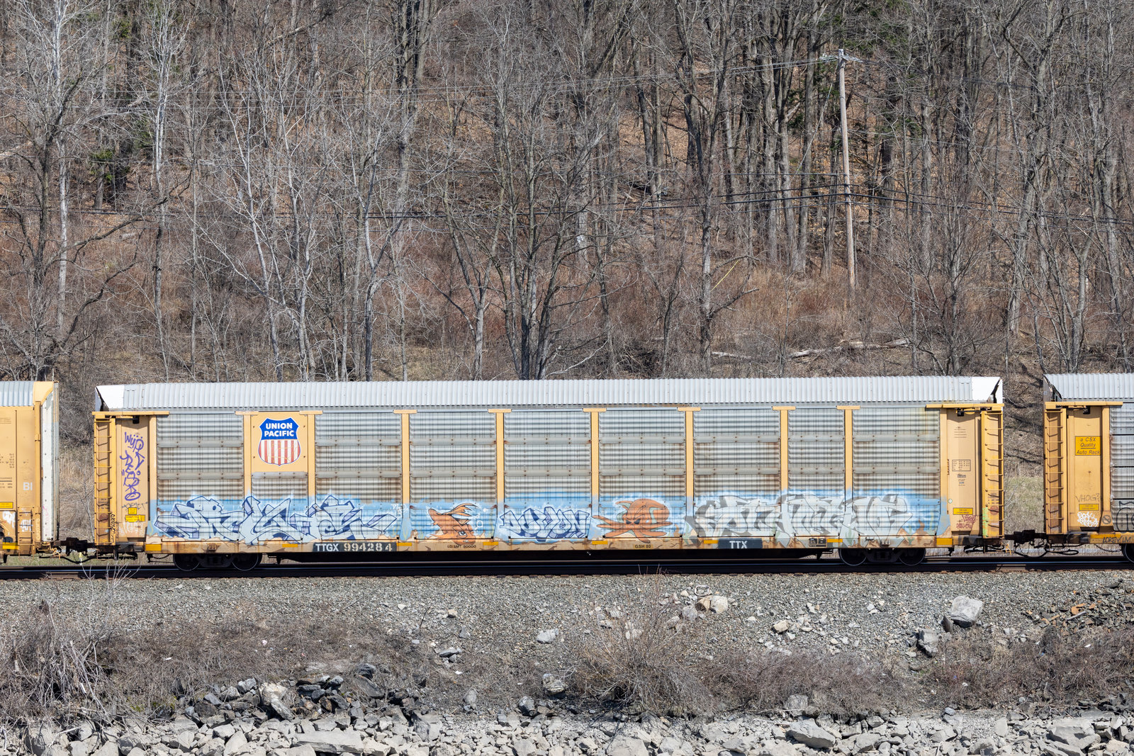 TTGX 994284