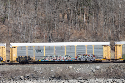 TTGX 979824