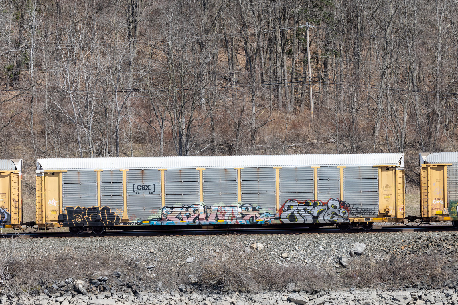 TTGX 979824