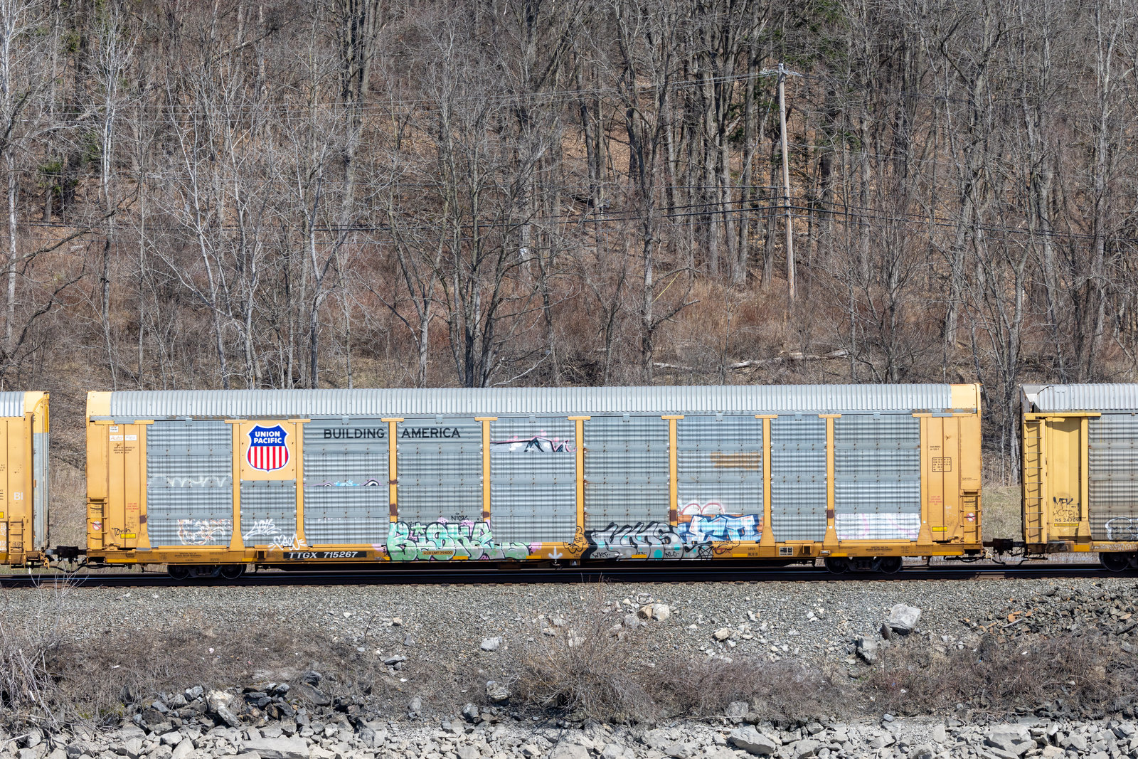 TTGX 715267