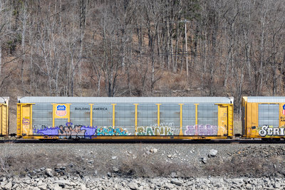 ETTX 850765