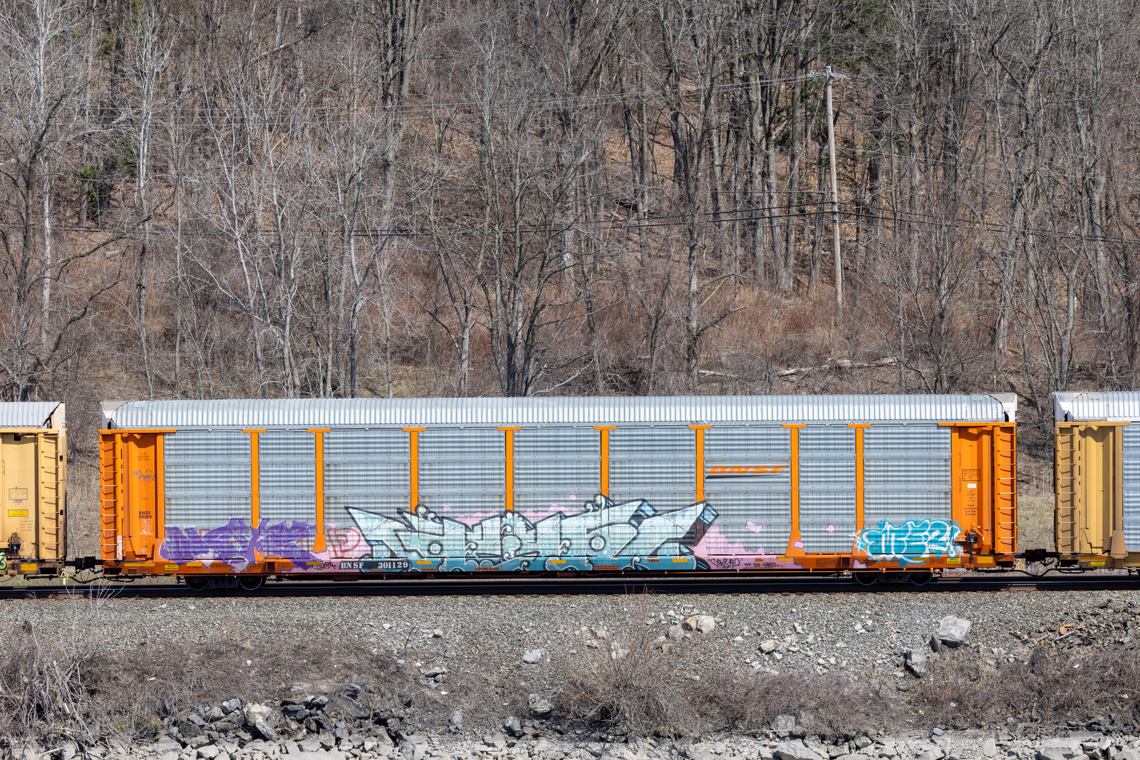 BNSF 301129