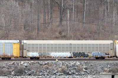 CP 546270