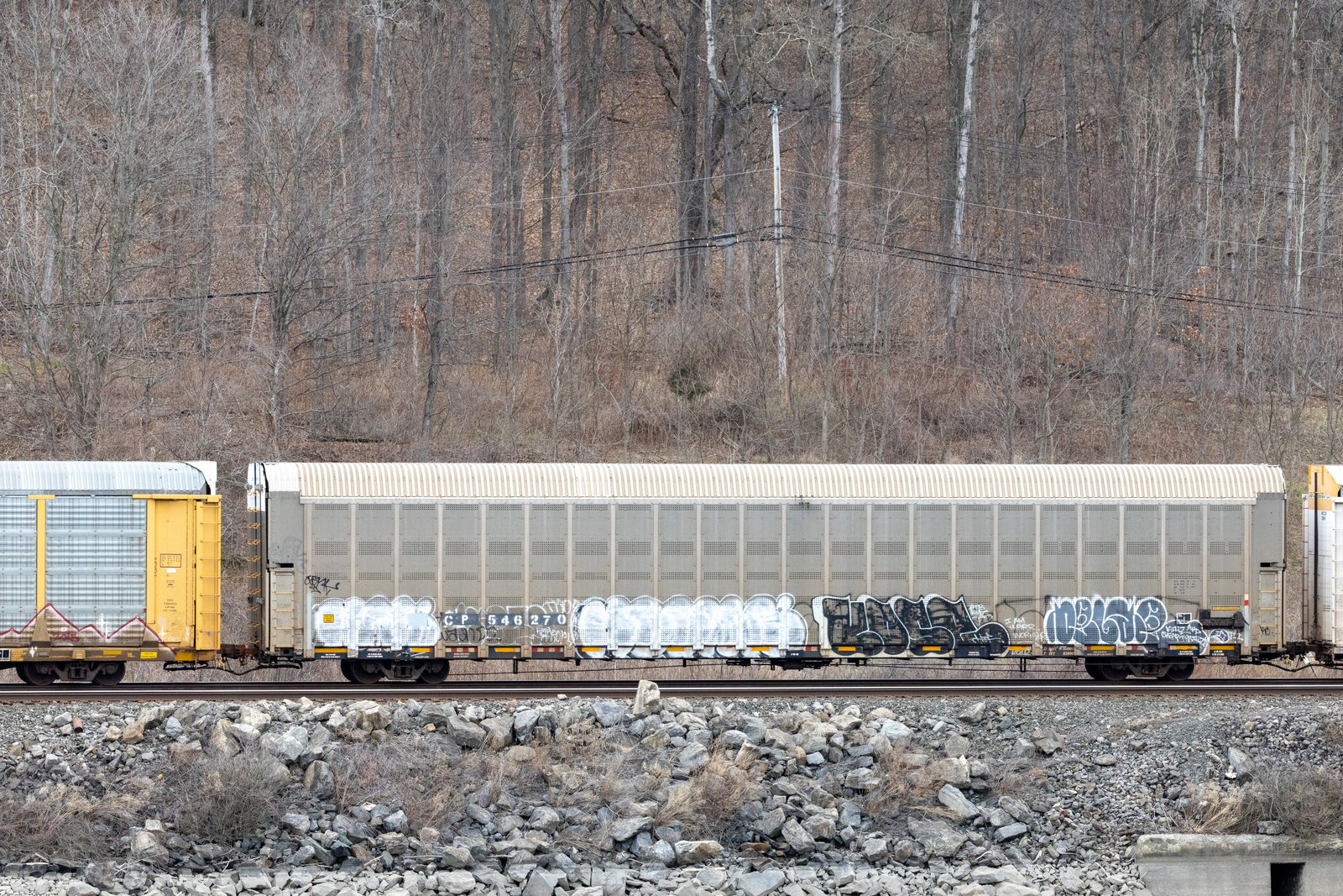 CP 546270
