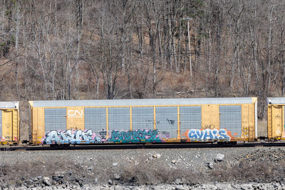 CTTX 690833