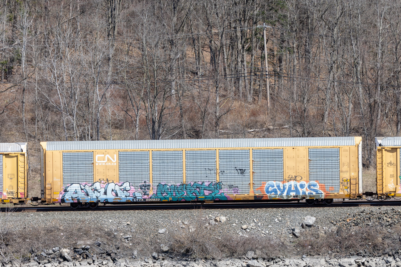CTTX 690833
