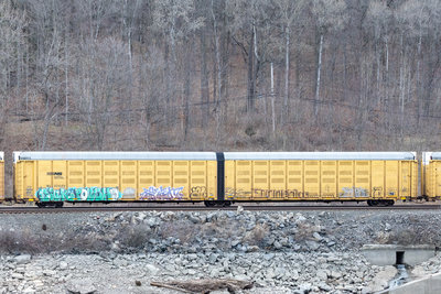 NS 110449