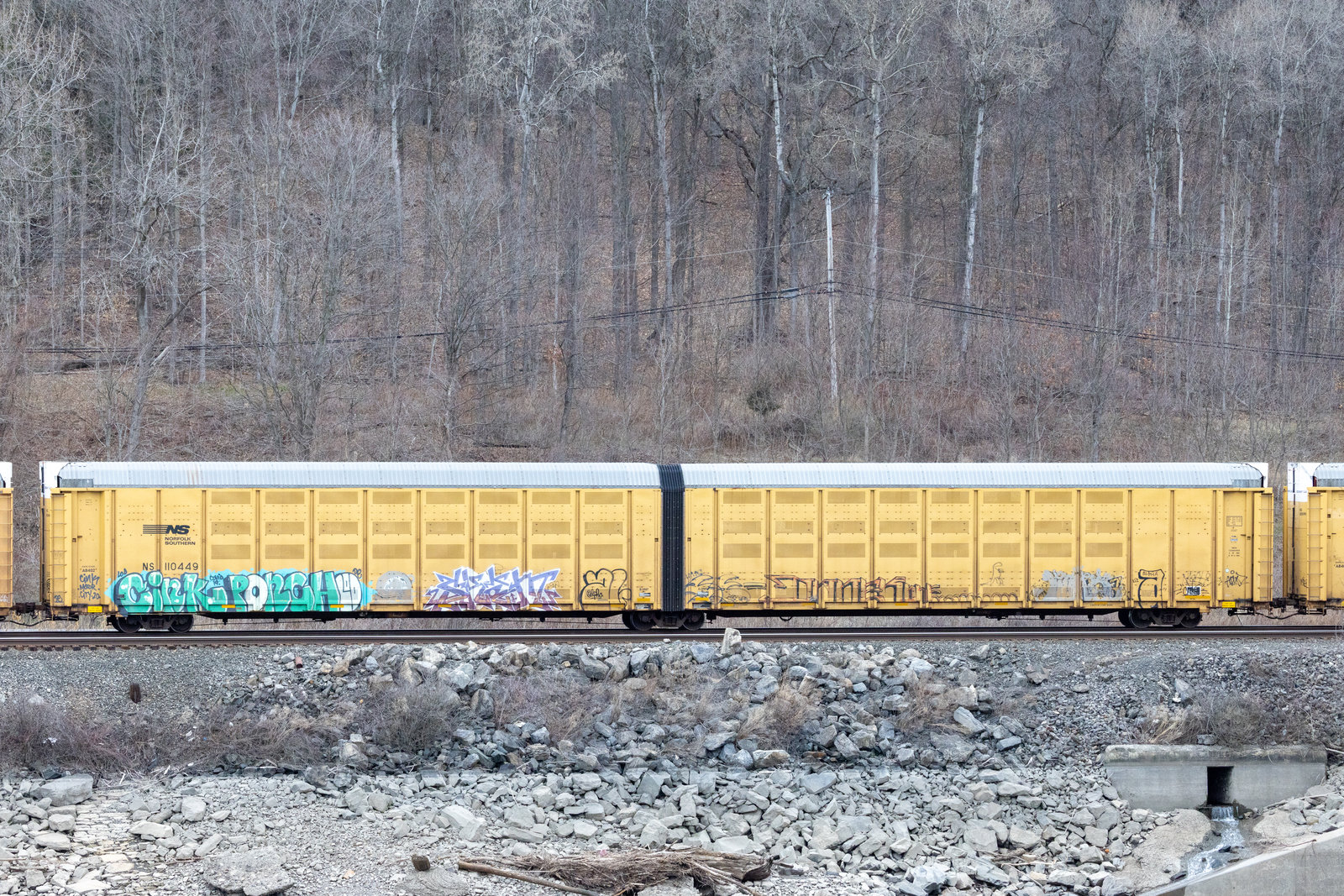 NS 110449
