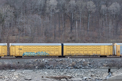 NS 110591