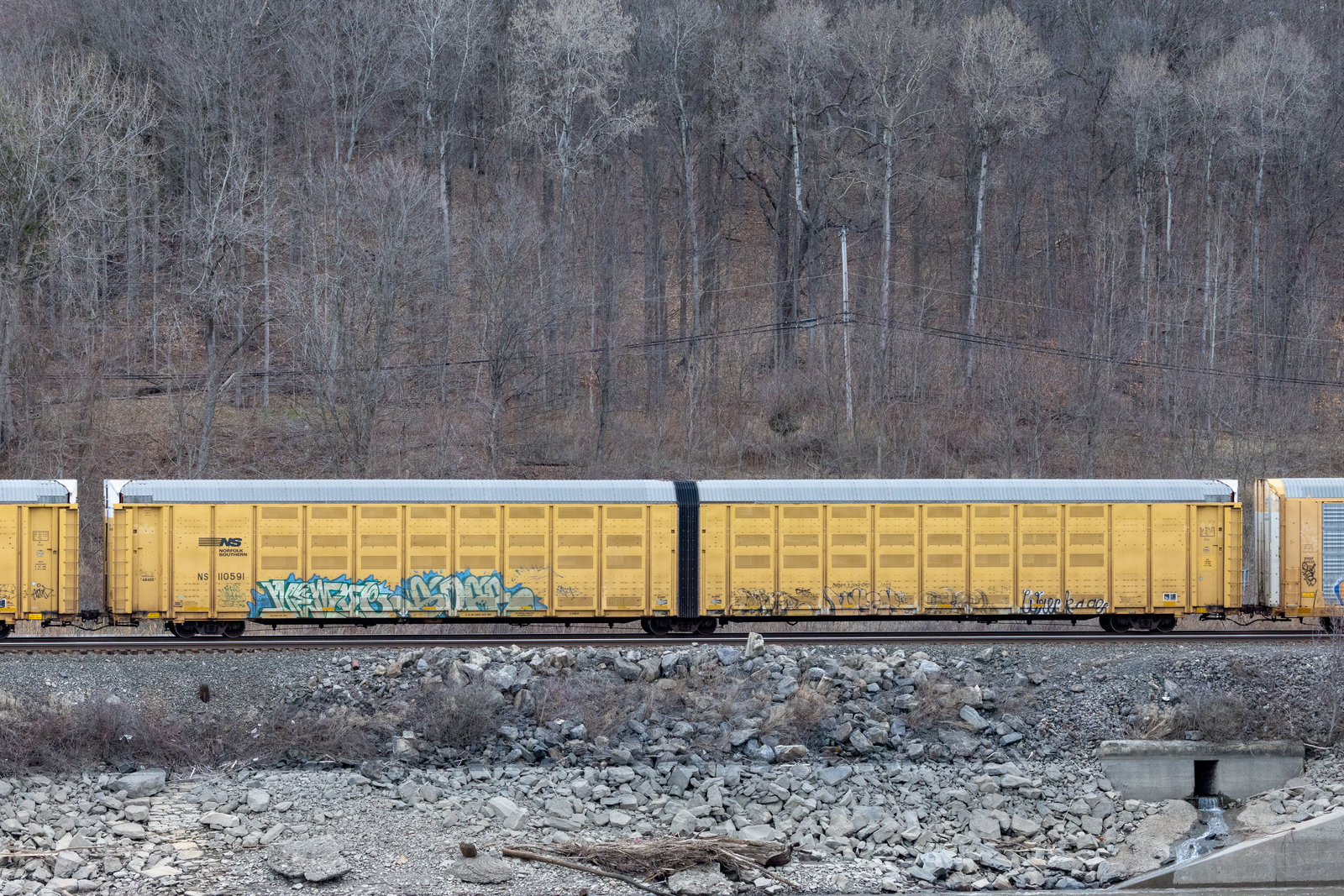 NS 110591