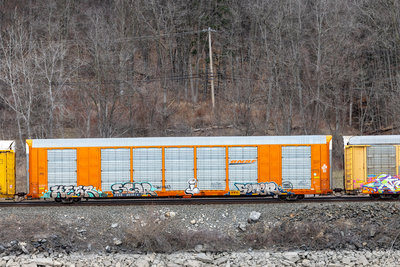 TTGX 693674