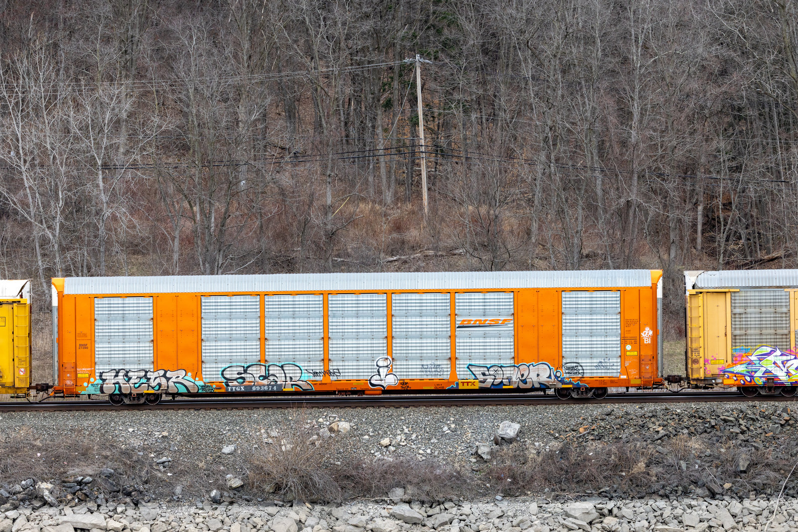 TTGX 693674