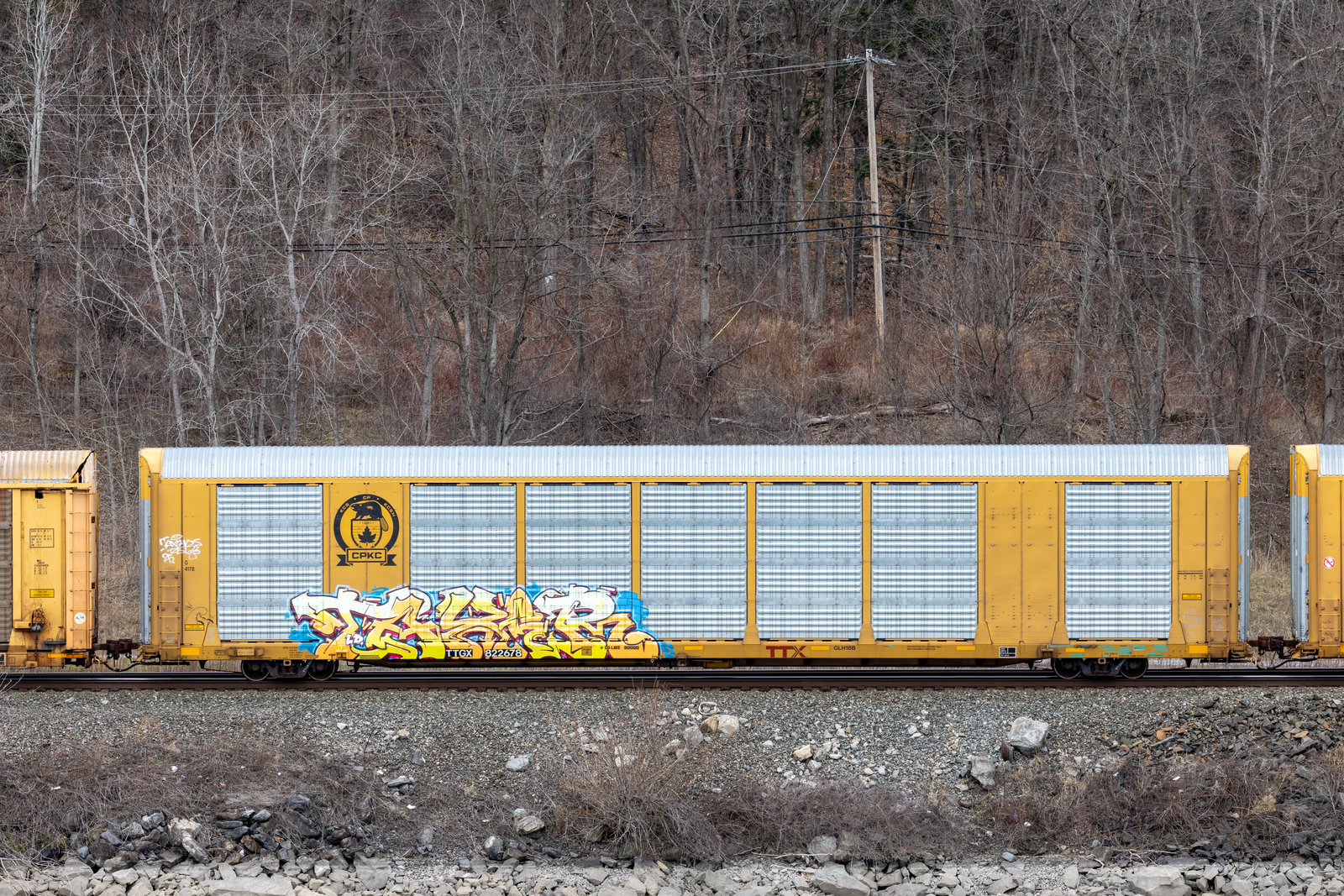 TTGX 822678