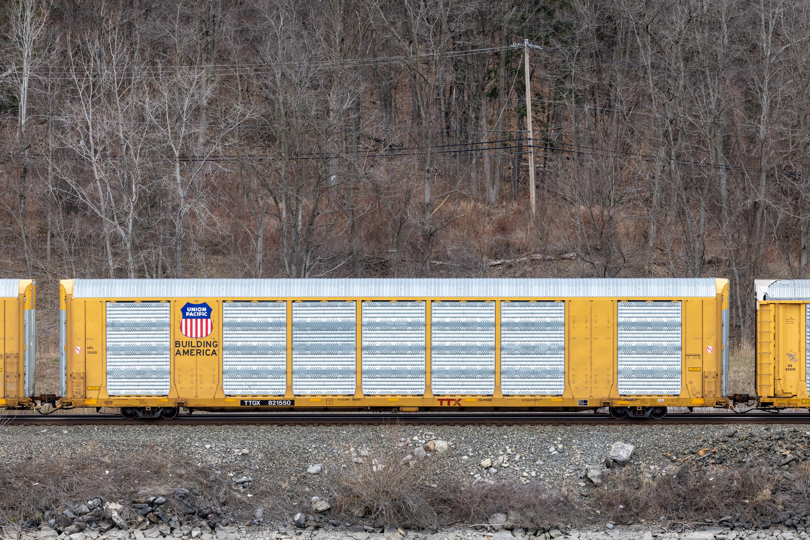 TTGX 821550