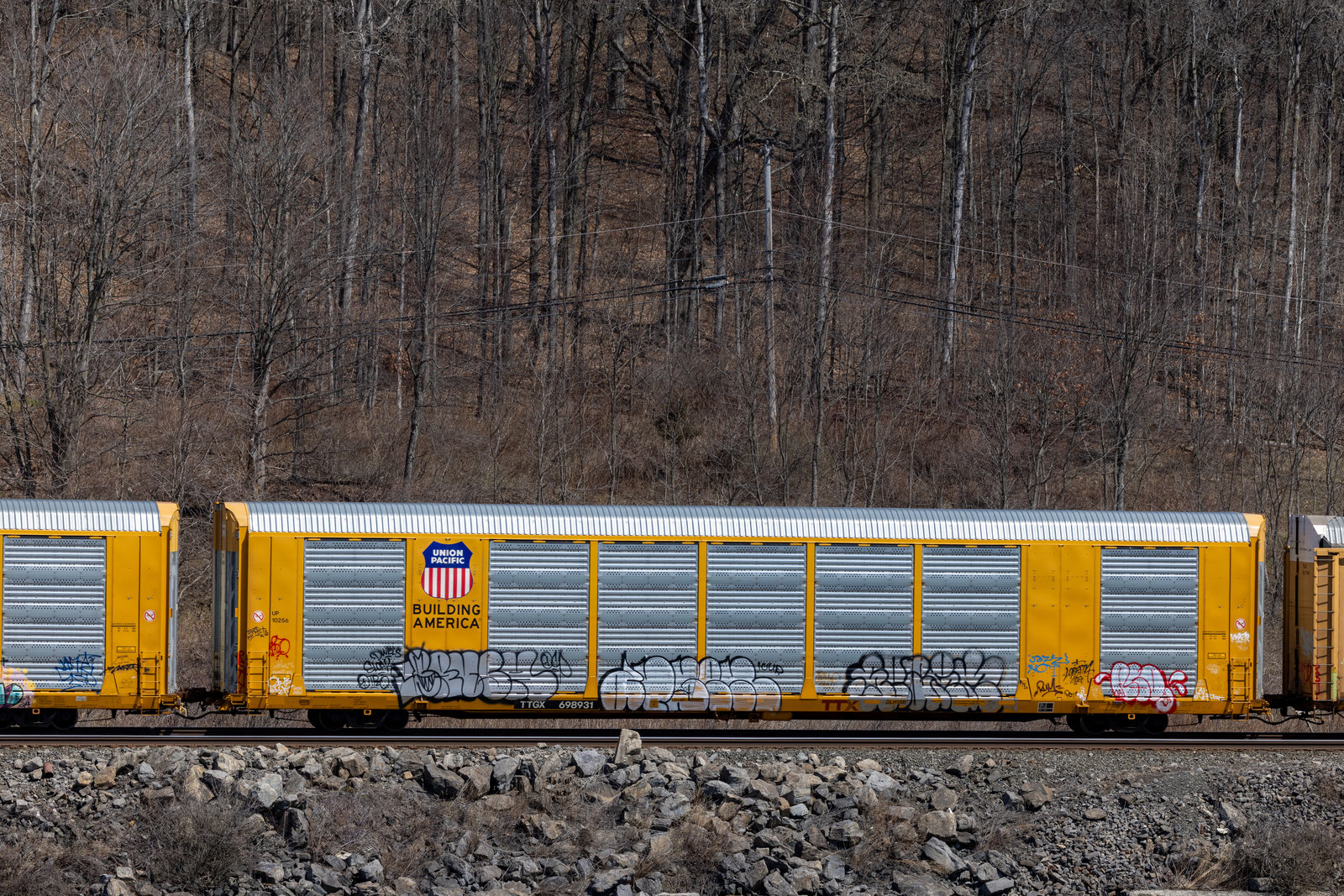 TTGX 698931