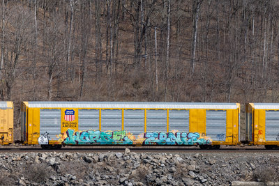 TTGX 698857