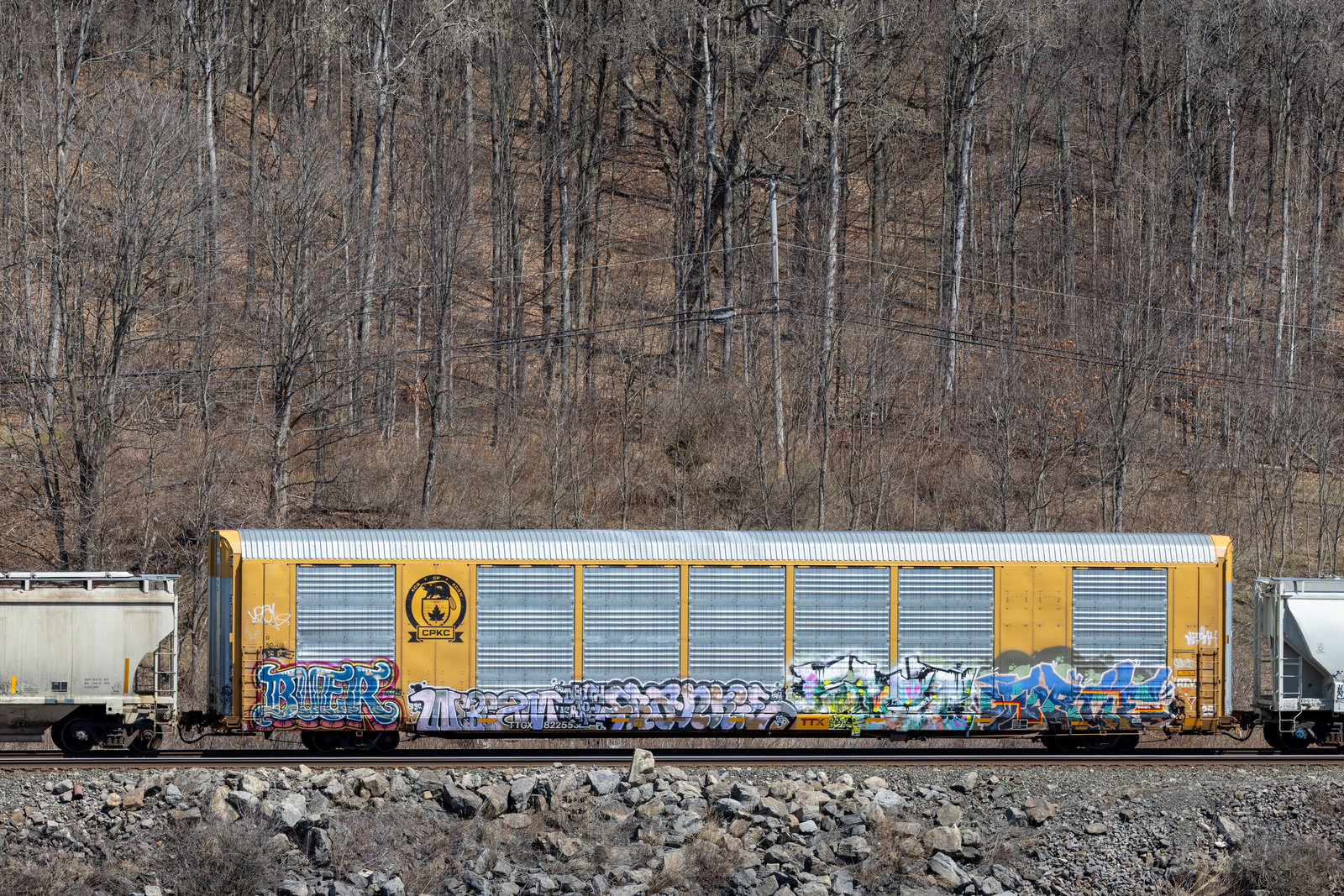 TTGX 822553