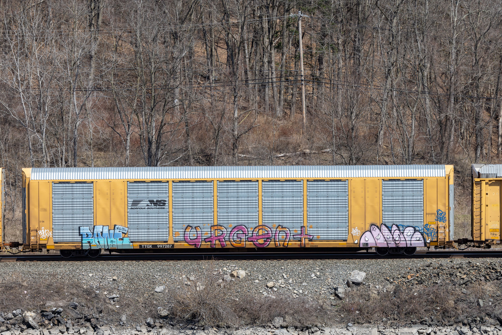 TTGX