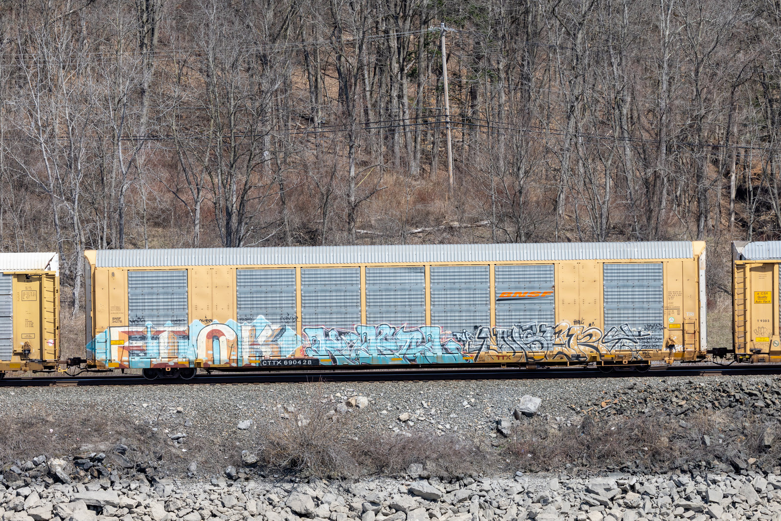 TTGX