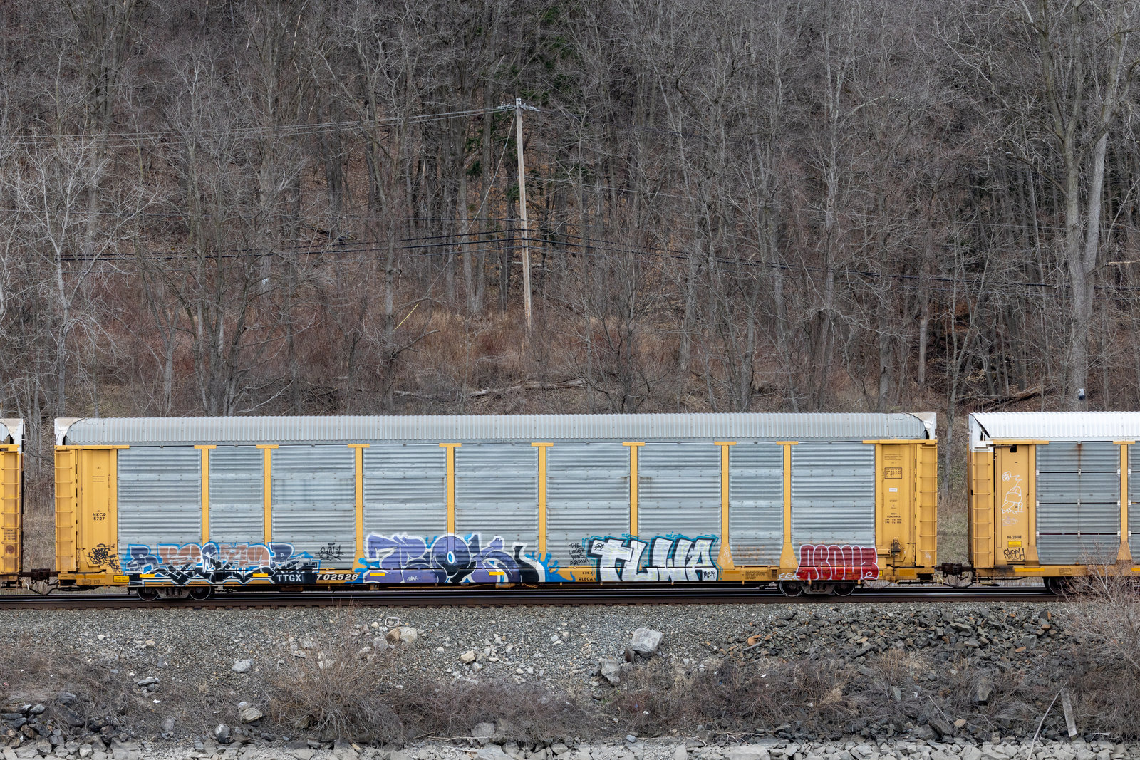 TTGX 702526
