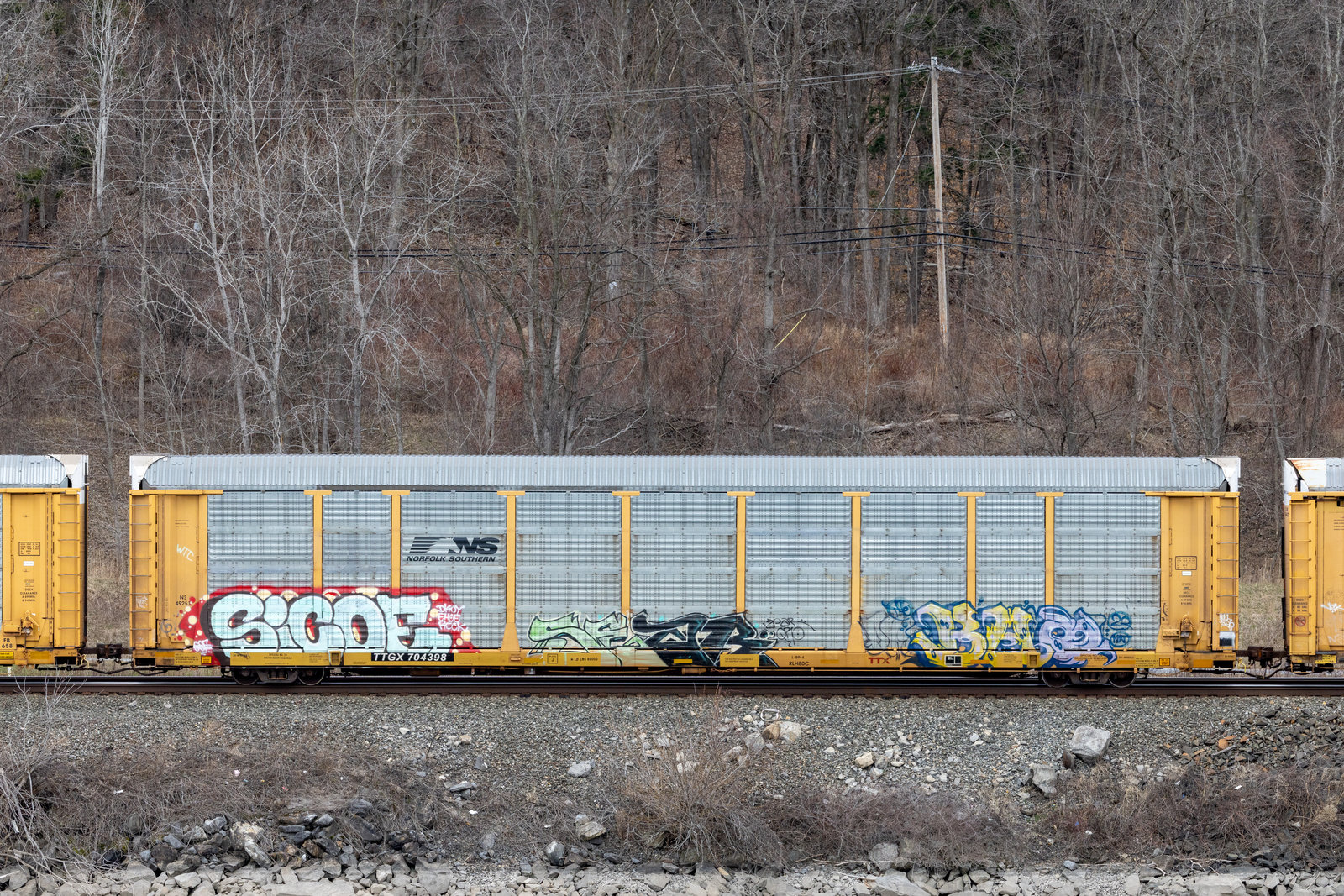 TTGX 704398