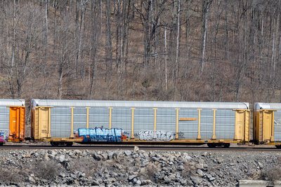 TTGX 941642