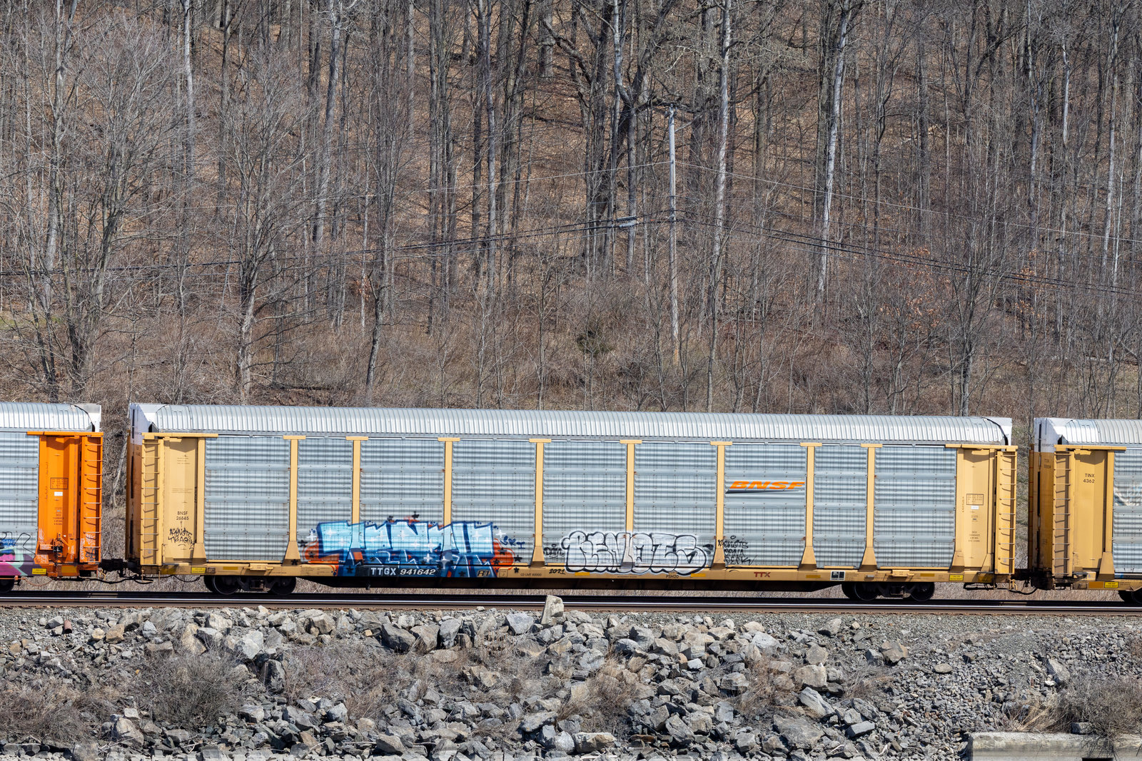 TTGX 941642