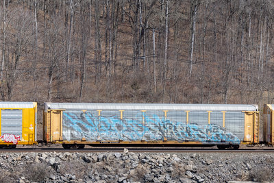 TTGX 941194