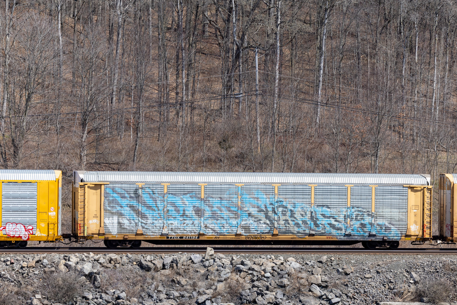 TTGX 941194