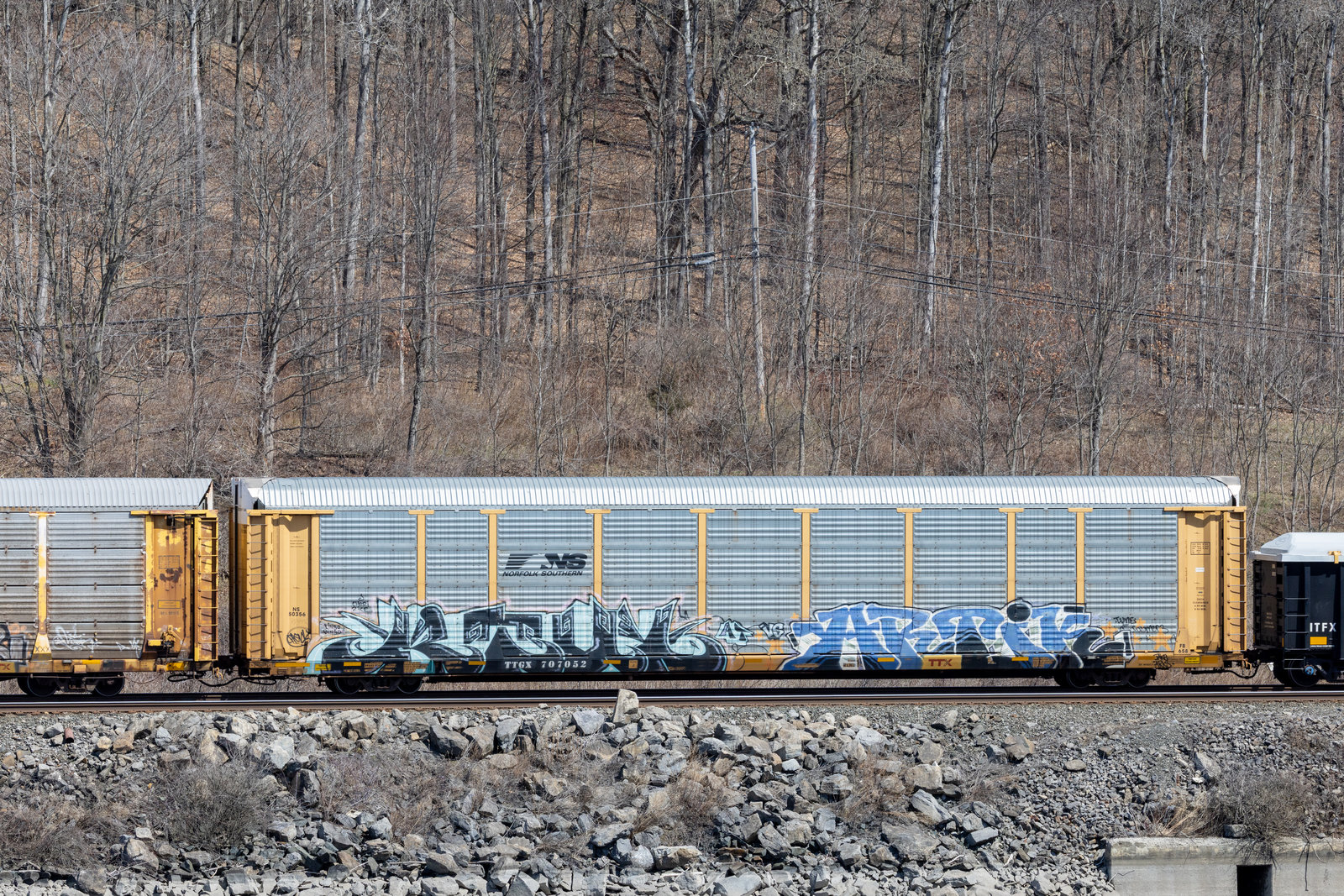 TTGX 707052