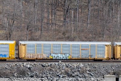 TTGX 704806