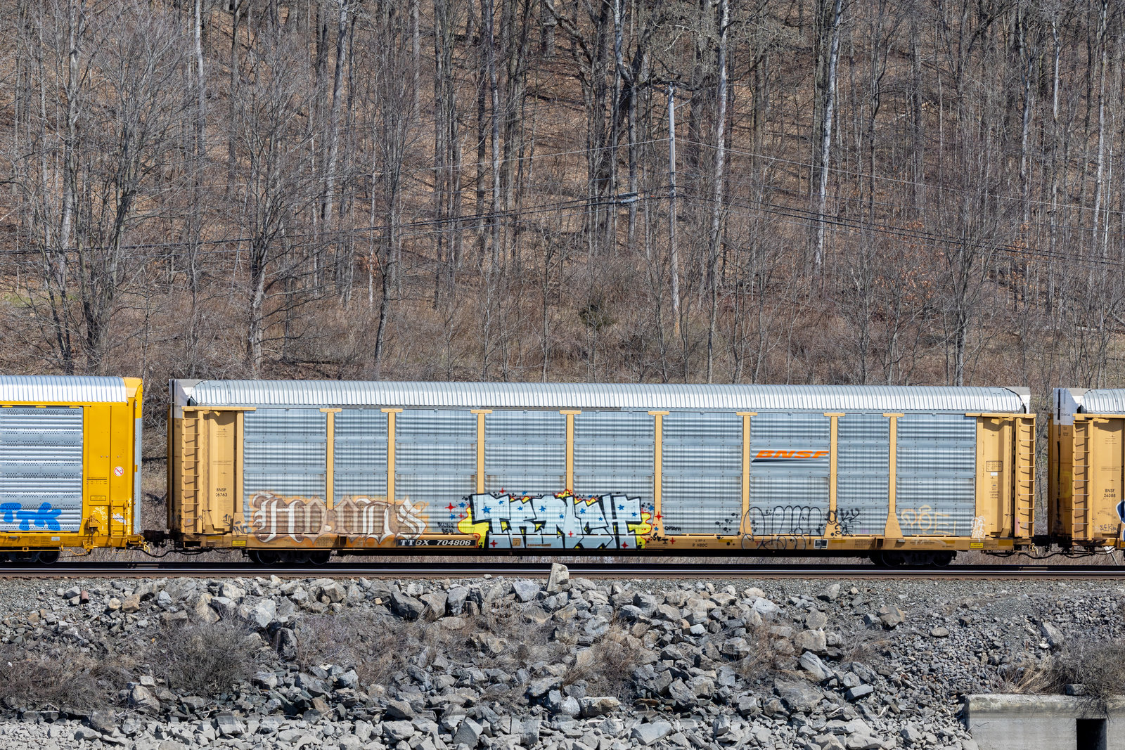 TTGX 704806