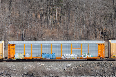 TTGX 953053