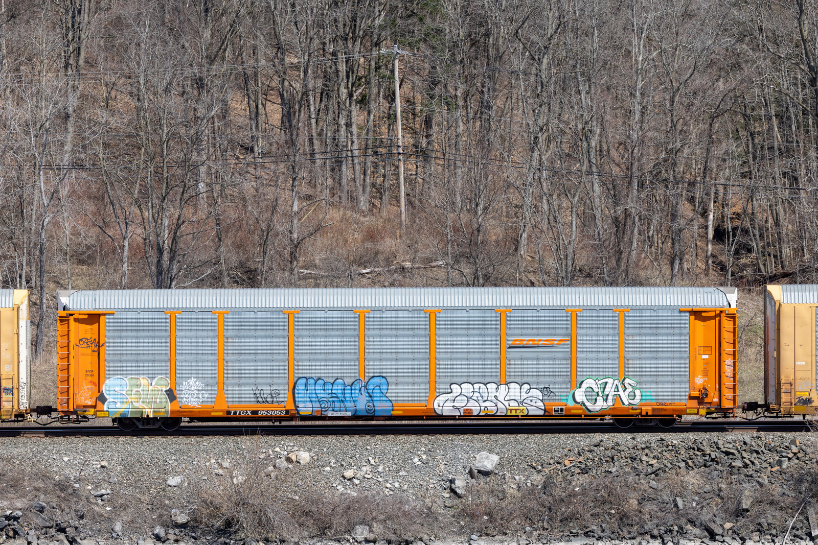 TTGX 953053