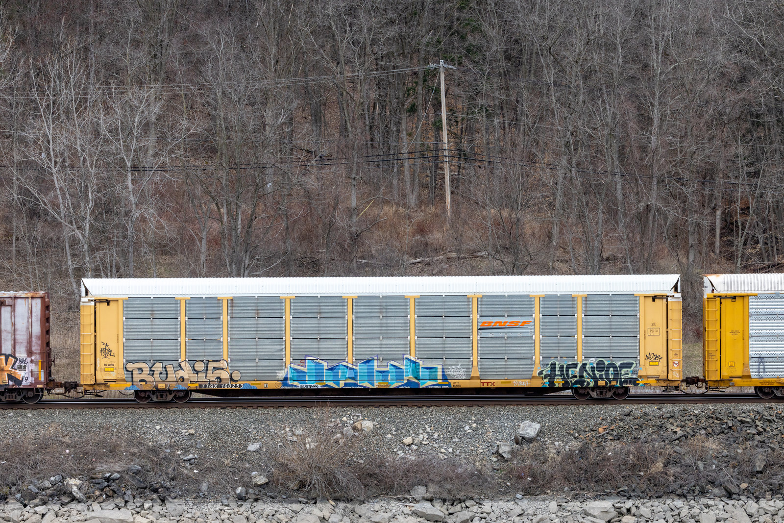 TTGX 160253