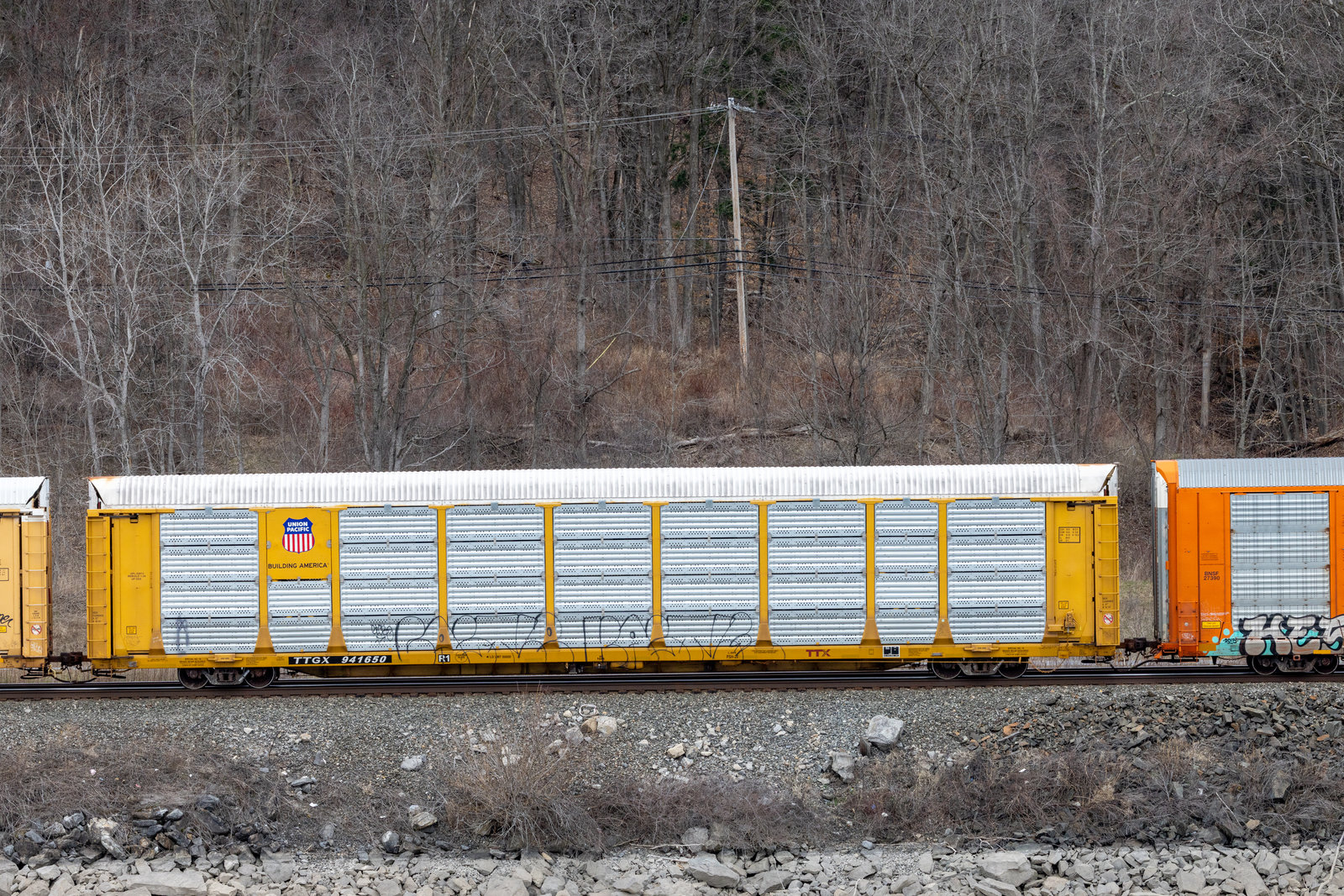 TTGX 941650