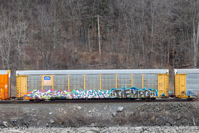 TTGX 985136