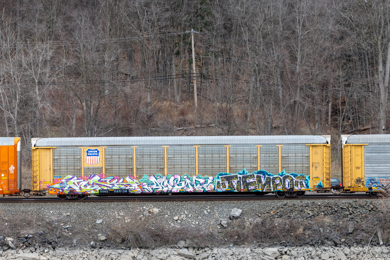 TTGX 985136