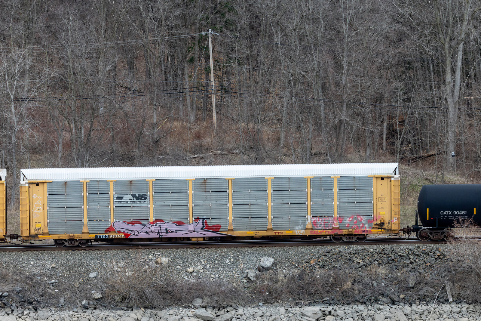 TTGX 983102