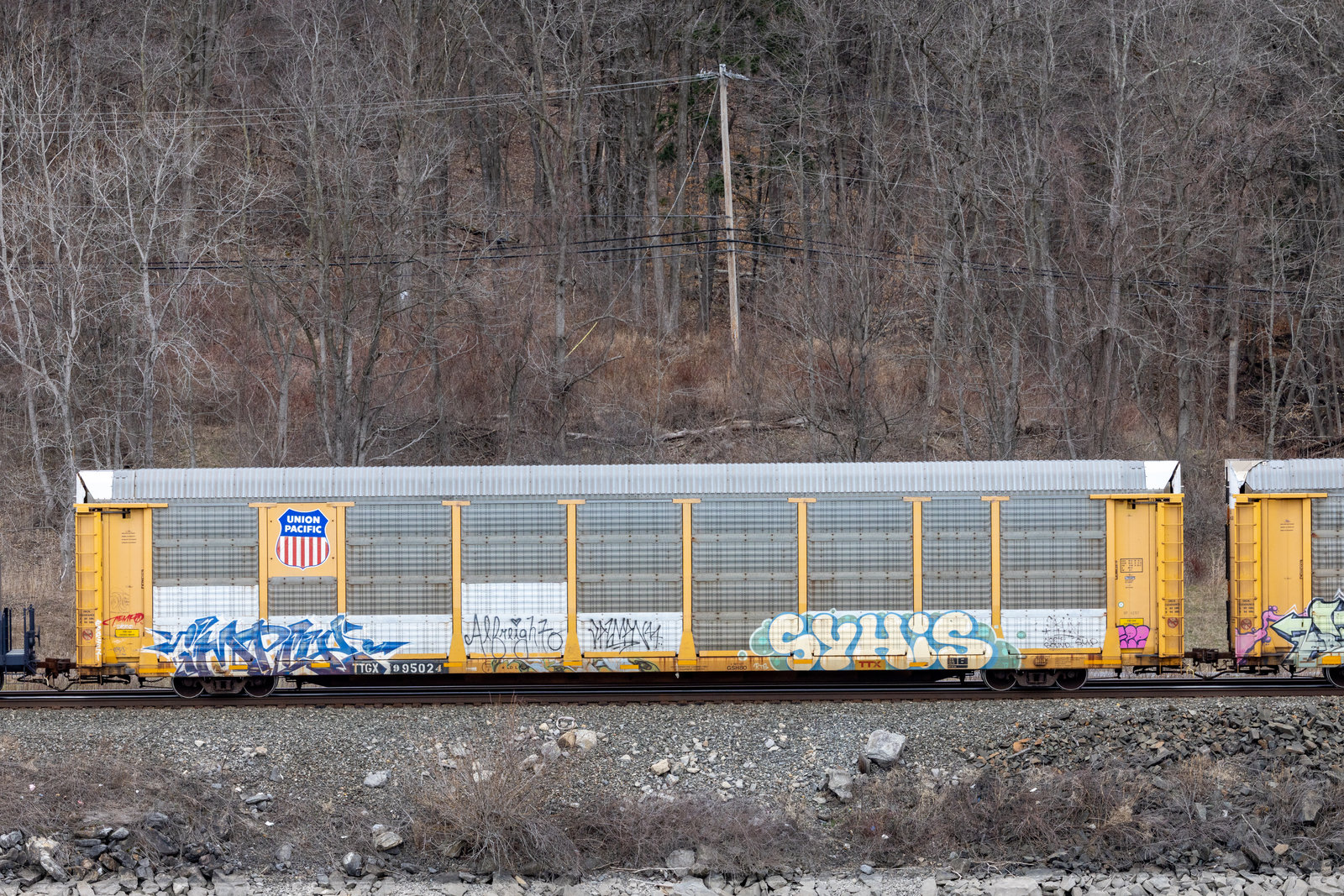 TTGX 995024