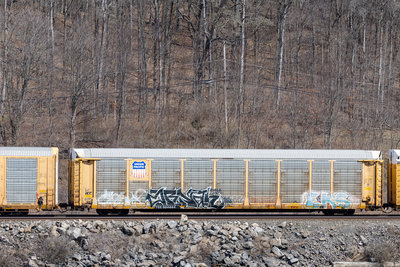TTGX 994444