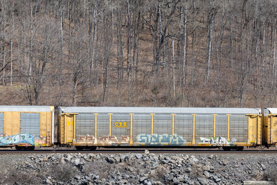 TTGX 996056